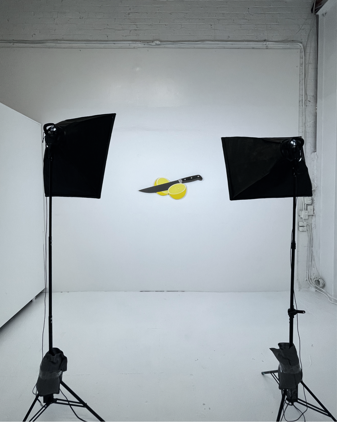 Cut Lemon 38.5" x 15"